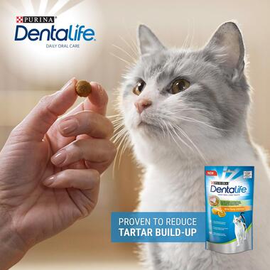 Dentalife Daily Oral Care Treats with Chicken 40g