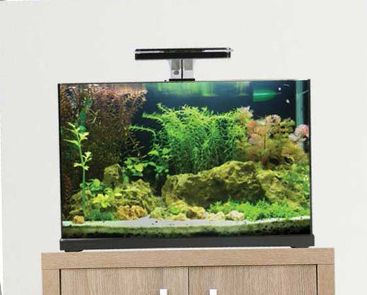 Focus 25 Glass Aquarium 25L  Black