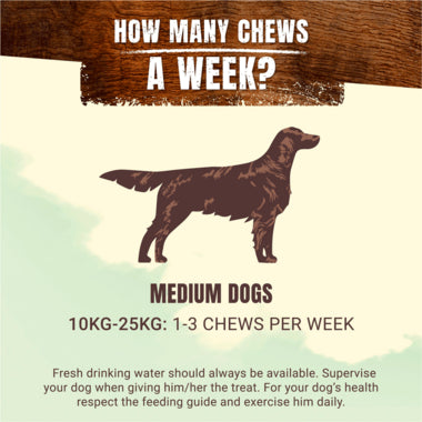 Adventuros Wild Chew Medium Long Lasting Chew