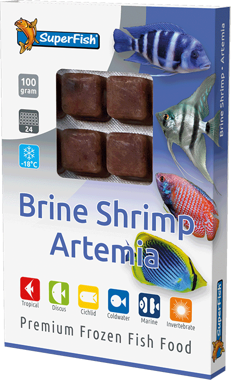 Superfish Brine Shrimp Artemia 100g