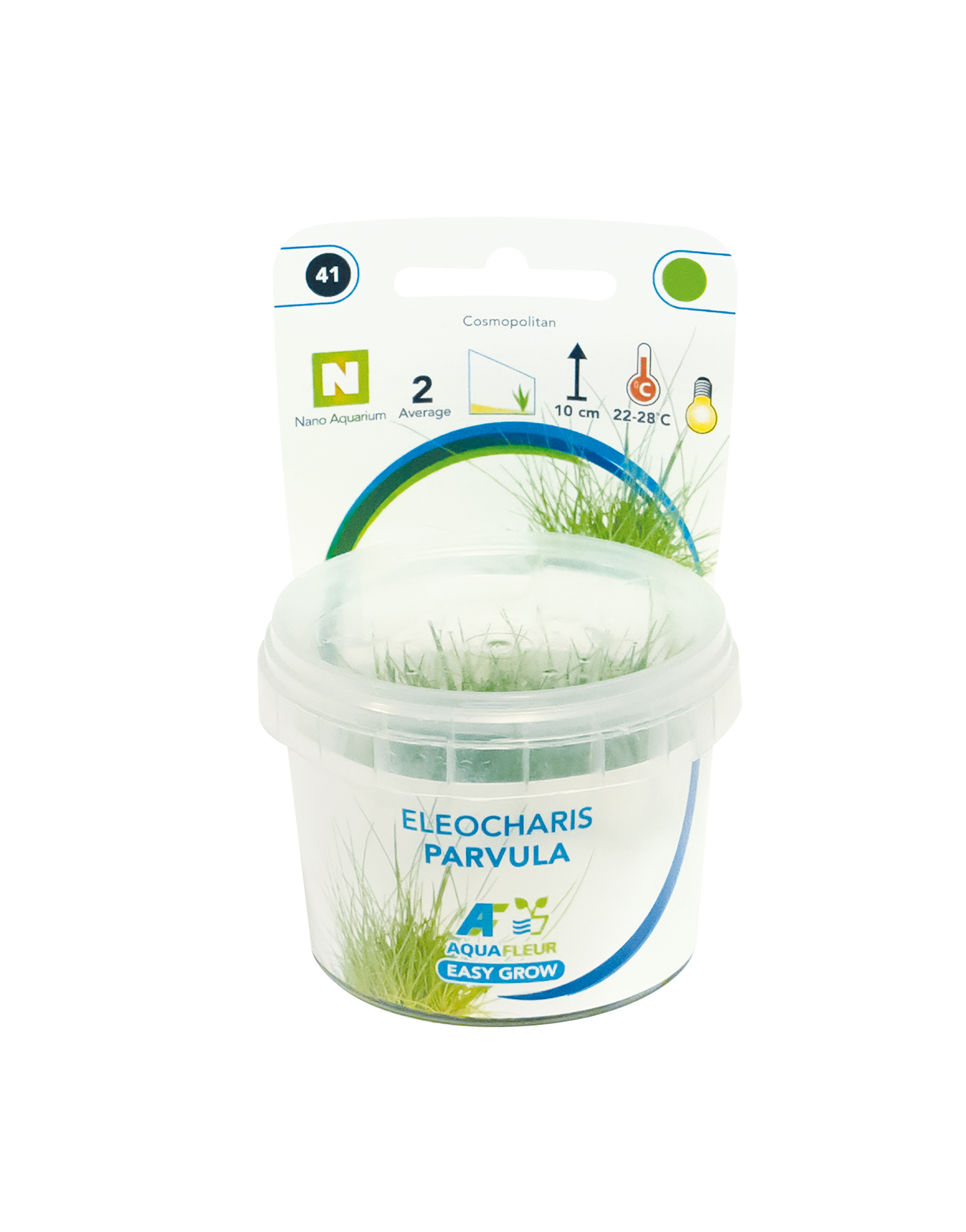 Eleocharis Parvula - Easy Grow