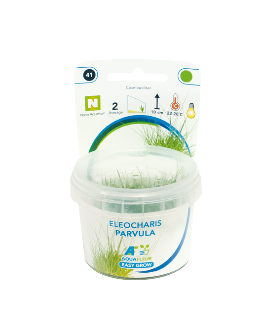 Eleocharis Parvula - Easy Grow