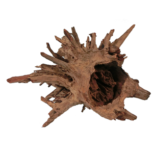 Corbo Catfish Root Large 40 - 56cm