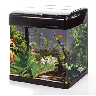 Betta Lifespace H5 32L Aquarium Black