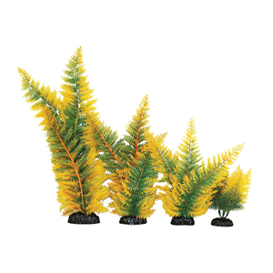 Hugo Broad Leaf Fern Yellow 13Cm