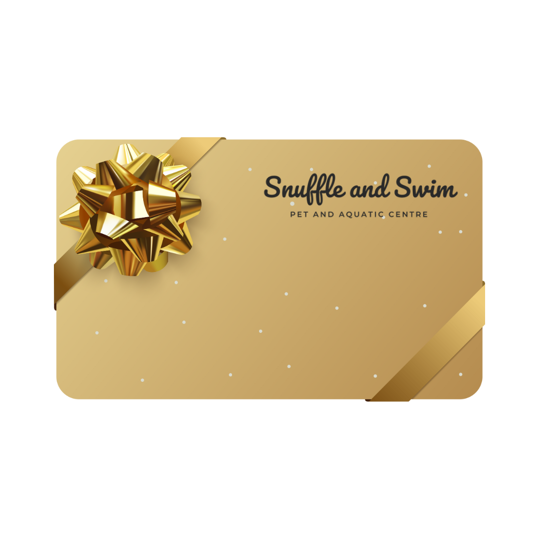 Digital Gift Card Voucher