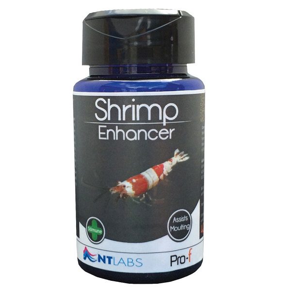 Nt Pro - F Shrimp Enhancer 40G