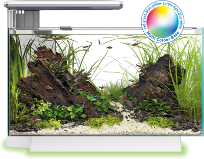 Superfish Quadro 70 Multi Colour Black