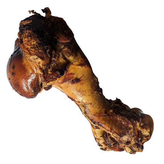 Roasted Whole Jurassic Bone - Single