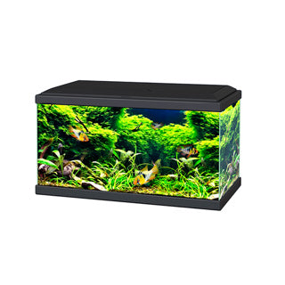 Ciano Aquarium 60 LED - Black 58L