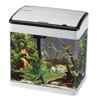 BETTA Lifespace H5 32L Aquarium - White