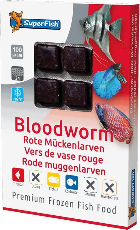 Superfish Bloodworm 100g