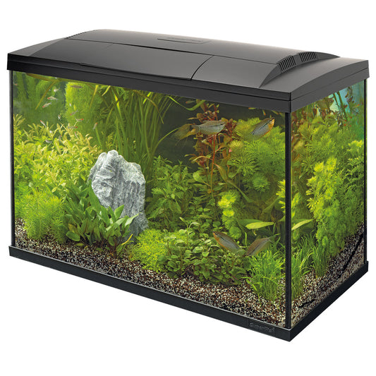 Superfish Start 150 Tropical Kit Black