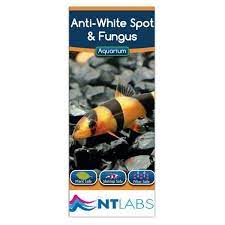 NT Labs Anti White Spot & Fungus 100ml
