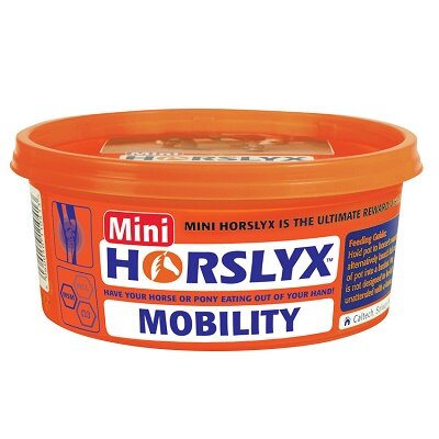 Horslyx Minilick Mobility Lick 650g