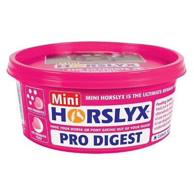 Horslyx Minilick Pro Digest Balancer Lick 650g