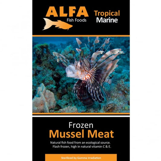 ALFA Frozen Mussel Meat 100g