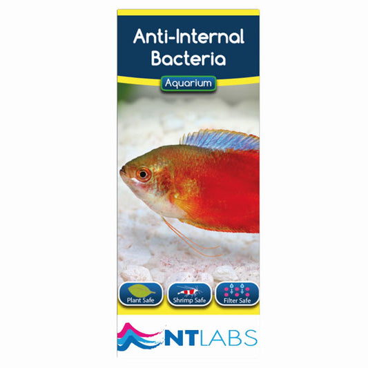 NT Labs Anti Internal Bacteria 100ml