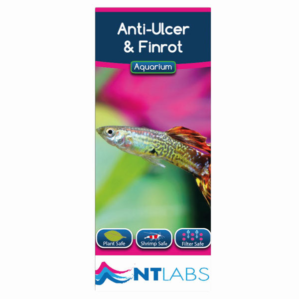 NT Labs Anti Ulcer and Finrot 100ml