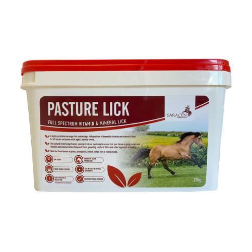 Saracen Pasture Lick 20kg