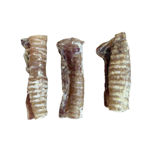 Beef Trachea 12cm Hollow - Single