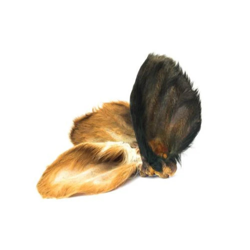 Hairy Cow Ear - Single