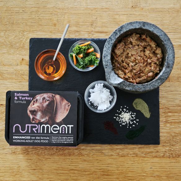Nutriment Dog Adult Salmon & Turkey Formula 500g - Frozen