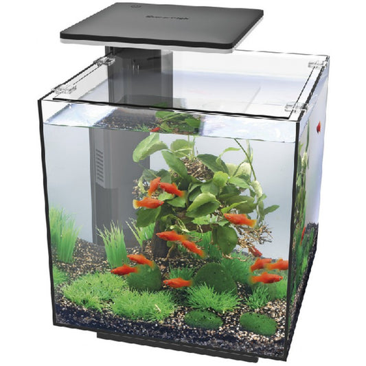 Superfish QUBIQ 30 Pro Black