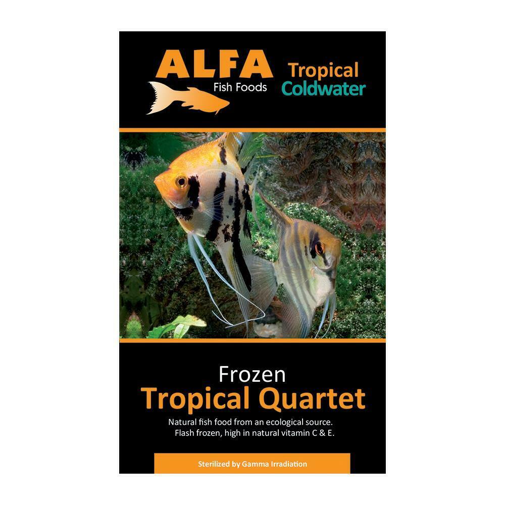 ALFA Frozen Tropical Quartet 100g