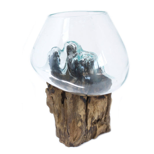 Recycled Molten Terrarium on Gamal Root